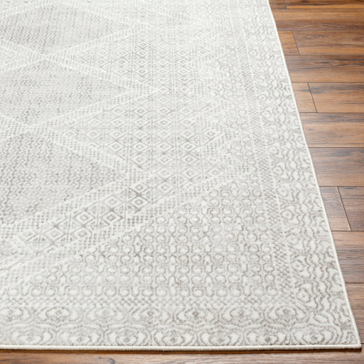 Surya Pisa PSS-2345 Light Gray Global  Rug