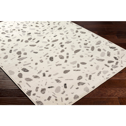 Surya Pisa PSS-2349 Light Gray Modern  Rug