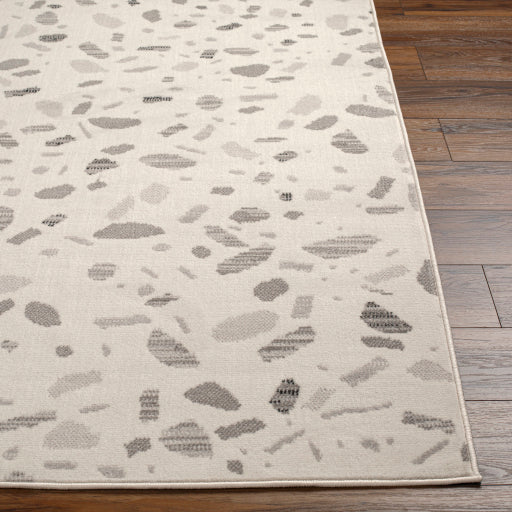 Surya Pisa PSS-2349 Light Gray Modern  Rug