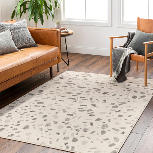 Surya Pisa PSS-2349 Light Gray Modern  Rug