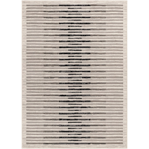 Surya Pisa PSS-2350 Light Gray Modern  Rug