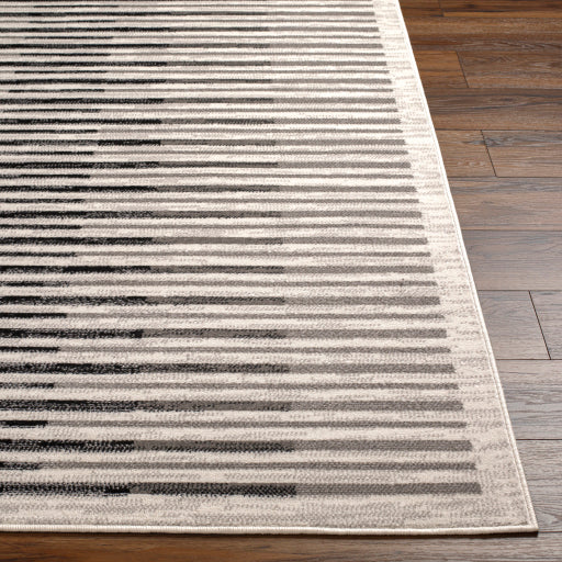 Surya Pisa PSS-2350 Light Gray Modern  Rug