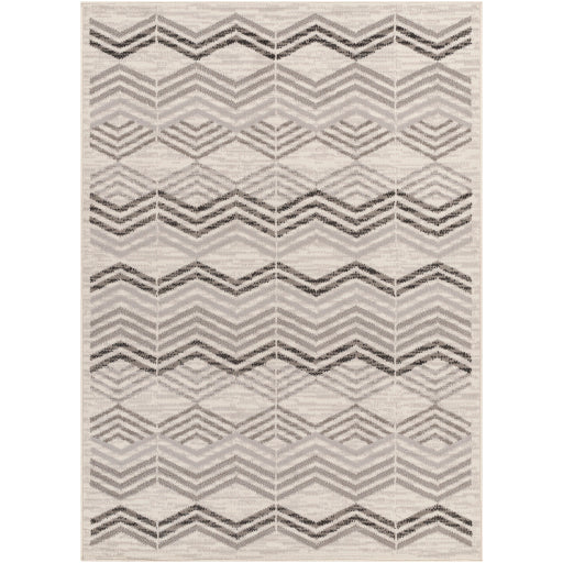 Surya Pisa PSS-2352 Light Gray Modern  Rug