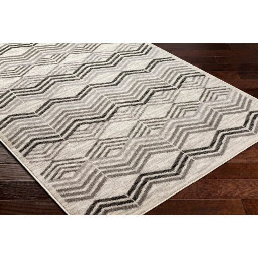 Surya Pisa PSS-2352 Light Gray Modern  Rug