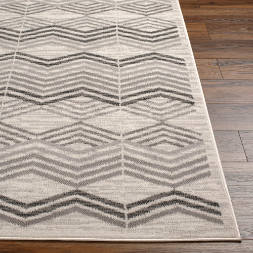 Surya Pisa PSS-2352 Light Gray Modern  Rug