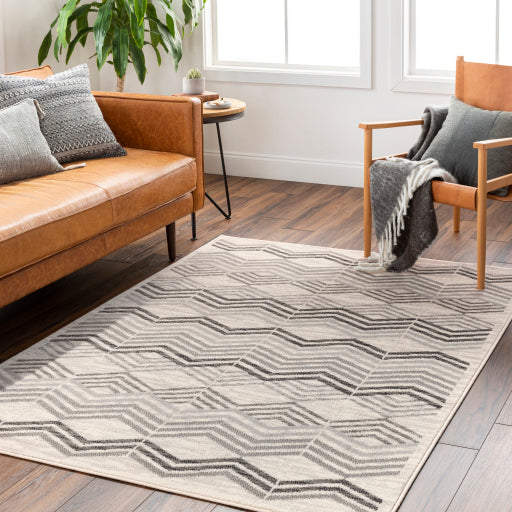 Surya Pisa PSS-2352 Light Gray Modern  Rug