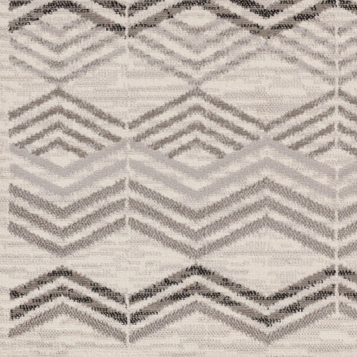 Surya Pisa PSS-2352 Light Gray Modern  Rug