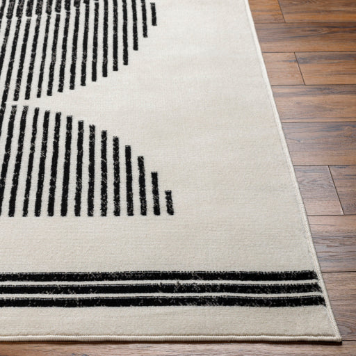 Surya Pisa PSS-2364 Light Gray Modern  Rug