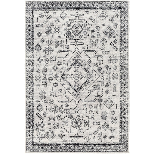 Surya Pisa PSS-2366 Light Gray Traditional  Rug