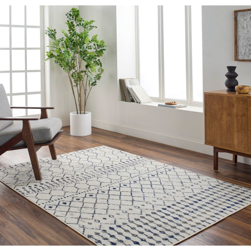 Surya Pisa PSS-2367 Light Gray Global  Rug