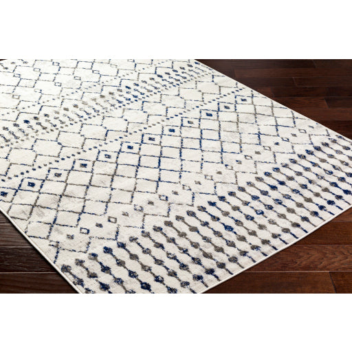 Surya Pisa PSS-2367 Light Gray Global  Rug