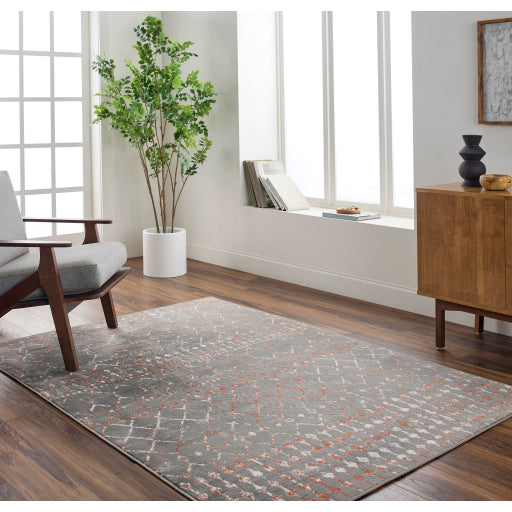 Surya Pisa PSS-2369 Charcoal Global  Rug