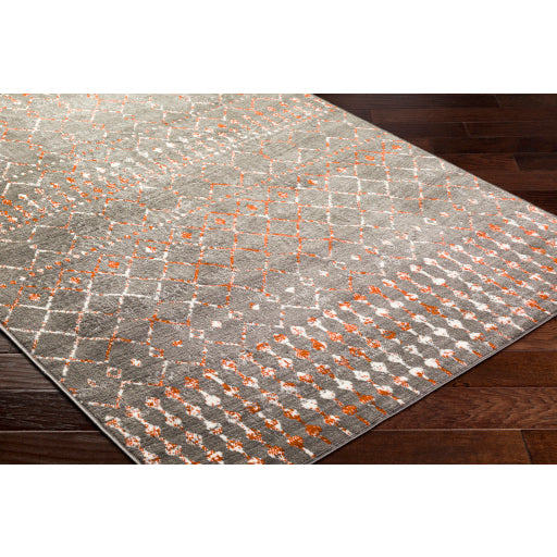 Surya Pisa PSS-2369 Charcoal Global  Rug