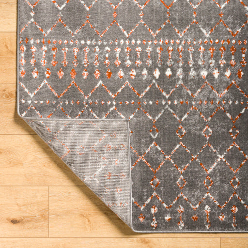 Surya Pisa PSS-2369 Charcoal Global  Rug