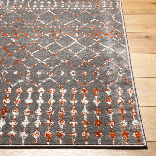 Surya Pisa PSS-2369 Charcoal Global  Rug