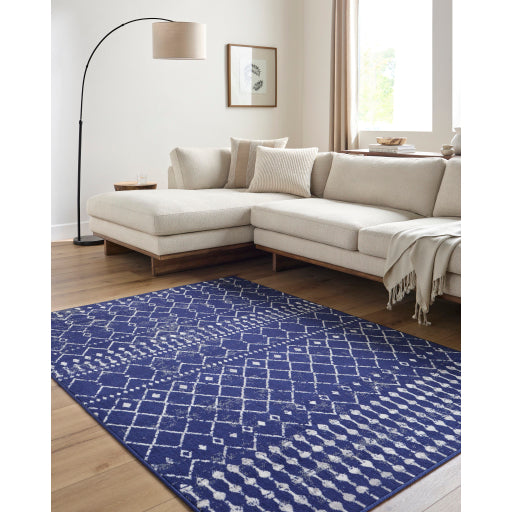 Surya Pisa PSS-2370 Dark Blue Global  Rug