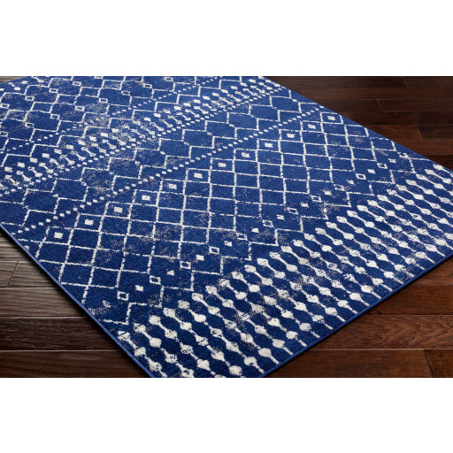 Surya Pisa PSS-2370 Dark Blue Global  Rug