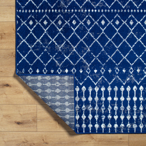 Surya Pisa PSS-2370 Dark Blue Global  Rug