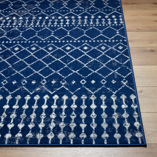 Surya Pisa PSS-2370 Dark Blue Global  Rug