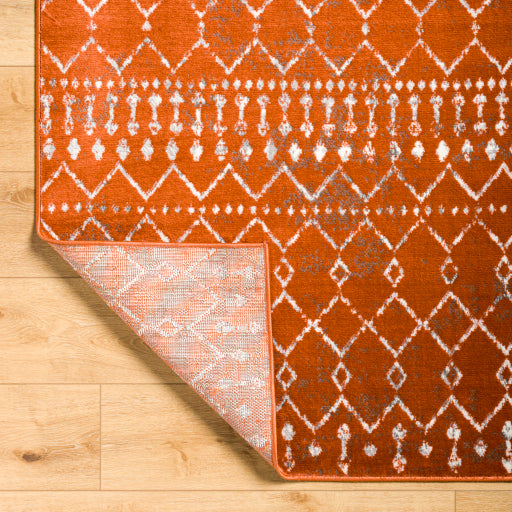 Surya Pisa PSS-2371 Burnt Orange Global  Rug