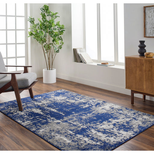 Surya Pisa PSS-2373 Dark Blue Modern  Rug