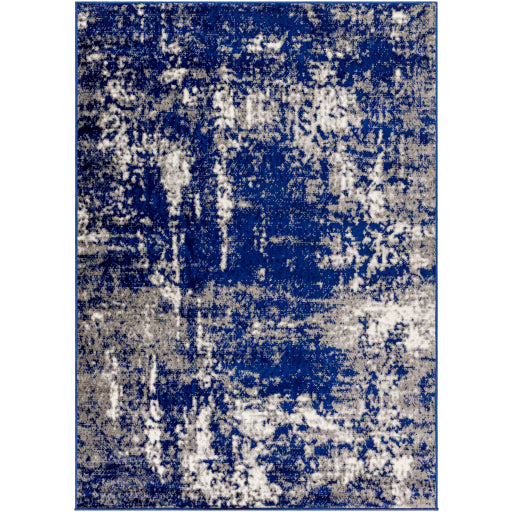 Surya Pisa PSS-2373 Dark Blue Modern  Rug