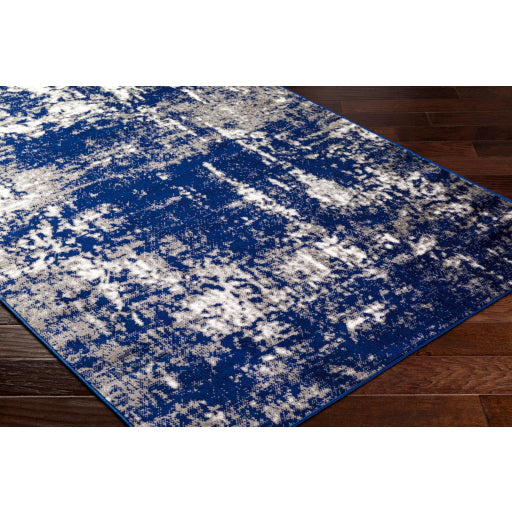 Surya Pisa PSS-2373 Dark Blue Modern  Rug