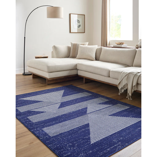 Surya Pisa PSS-2377 Dark Blue Modern  Rug