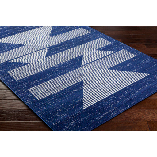 Surya Pisa PSS-2377 Dark Blue Modern  Rug