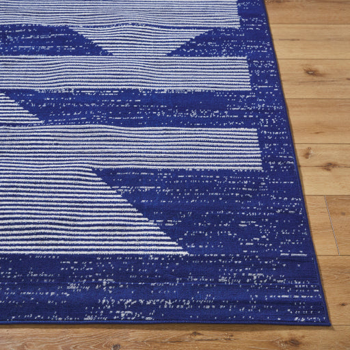 Surya Pisa PSS-2377 Dark Blue Modern  Rug