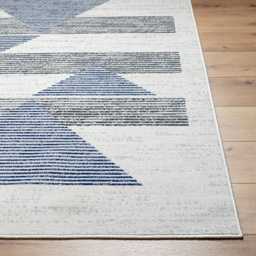 Surya Pisa PSS-2378 Light Gray Modern  Rug