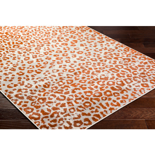 Surya Pisa PSS-2381 Light Gray Modern  Rug