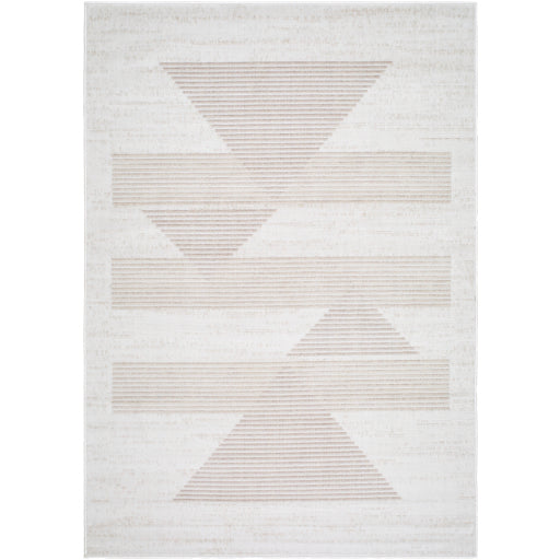 Surya Pisa PSS-2388 Light Gray Modern  Rug