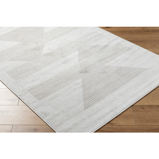 Surya Pisa PSS-2388 Light Gray Modern  Rug