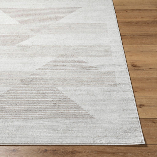 Surya Pisa PSS-2388 Light Gray Modern  Rug