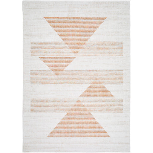 Surya Pisa PSS-2389 Light Gray Modern  Rug