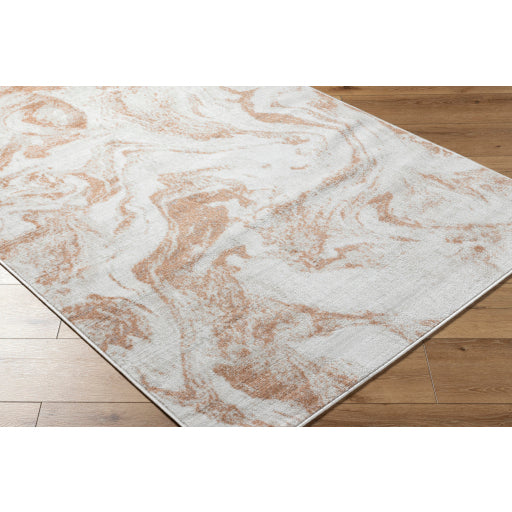 Surya Pisa PSS-2391 Light Gray Modern  Rug