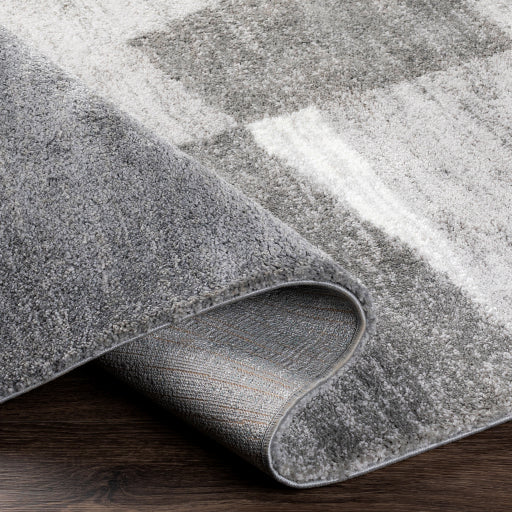 Surya Portofino PTF-2306 Light Slate Modern  Rug