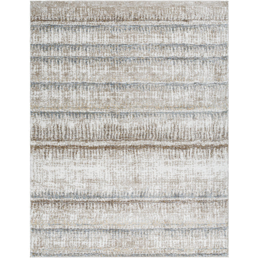 Surya Portofino PTF-2307 Cream Modern  Rug