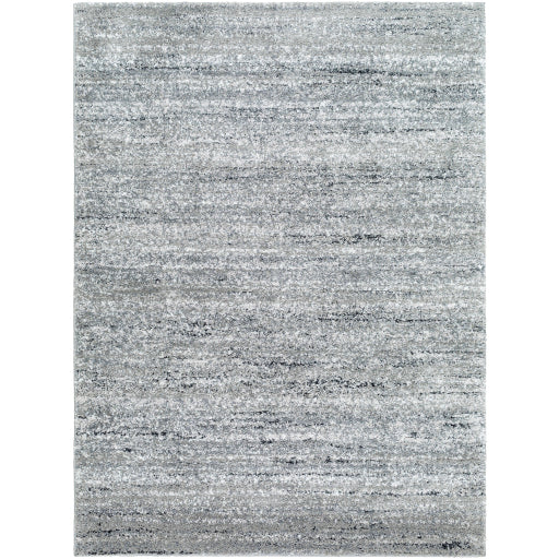 Surya Portofino PTF-2323 Medium Gray Modern  Rug