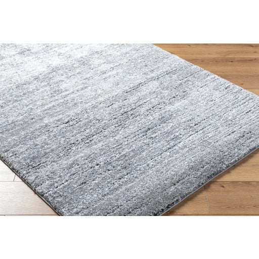 Surya Portofino PTF-2323 Medium Gray Modern  Rug