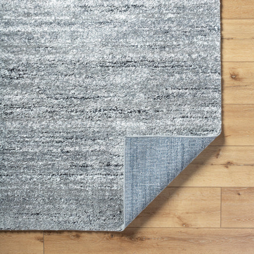 Surya Portofino PTF-2323 Medium Gray Modern  Rug