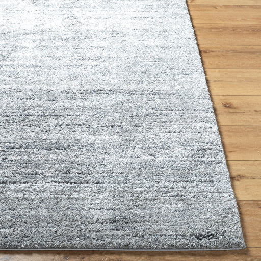 Surya Portofino PTF-2323 Medium Gray Modern  Rug