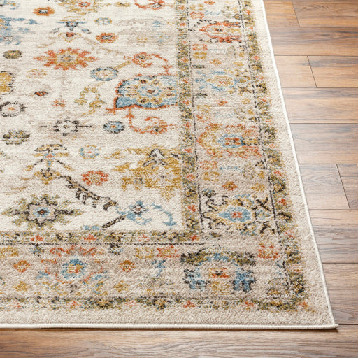 Surya Pertek PTK-2300 Taupe Traditional  Rug