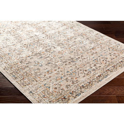 Surya Pertek PTK-2306 Taupe Traditional  Rug