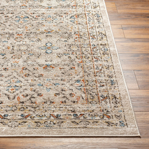 Surya Pertek PTK-2306 Taupe Traditional  Rug