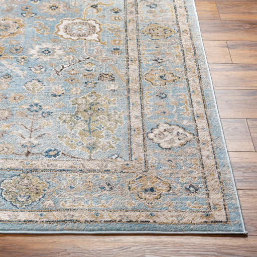 Surya Pertek PTK-2307 Deep Teal Traditional  Rug