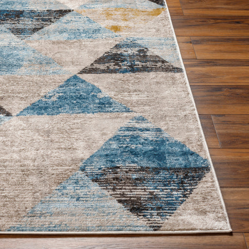 Surya Pertek PTK-2312 Gray Modern  Rug