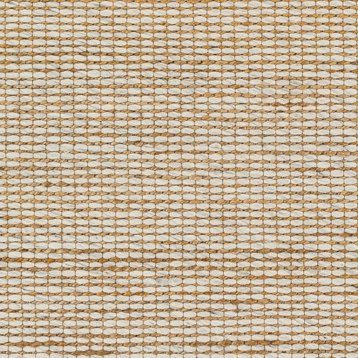 Surya Priya PYA-2303 Off-White Modern  Rug