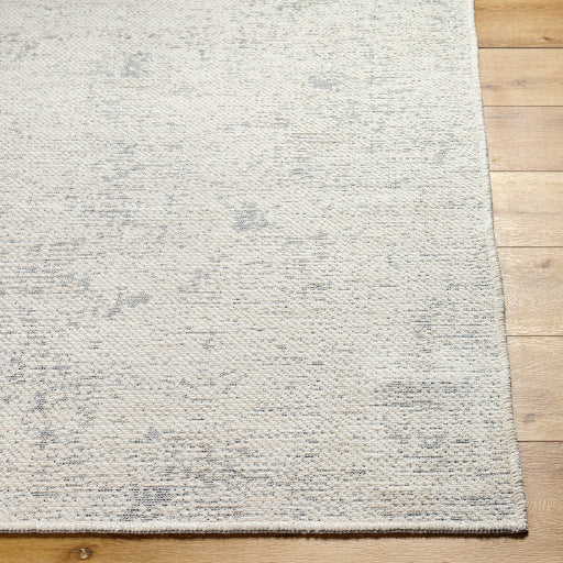 Surya Quebec QBC-2301 Light Gray Modern  Rug